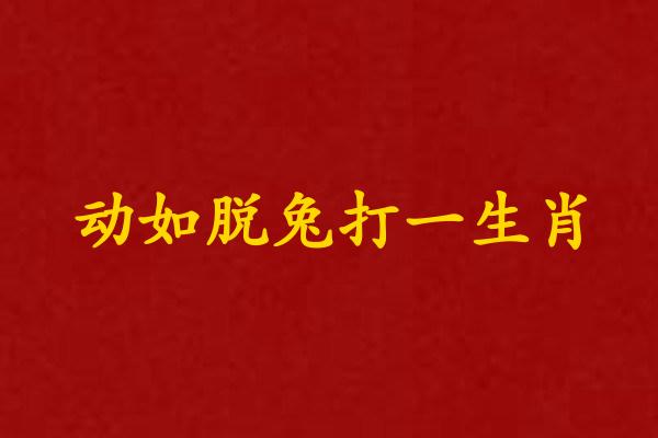 動如脫兔打一生肖