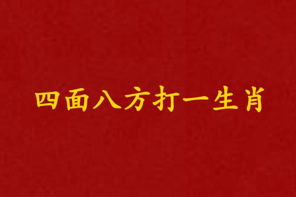 四麪八方打一生肖