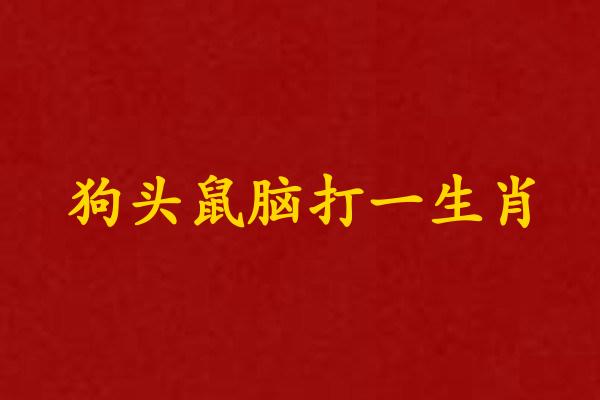 狗頭鼠腦打一生肖