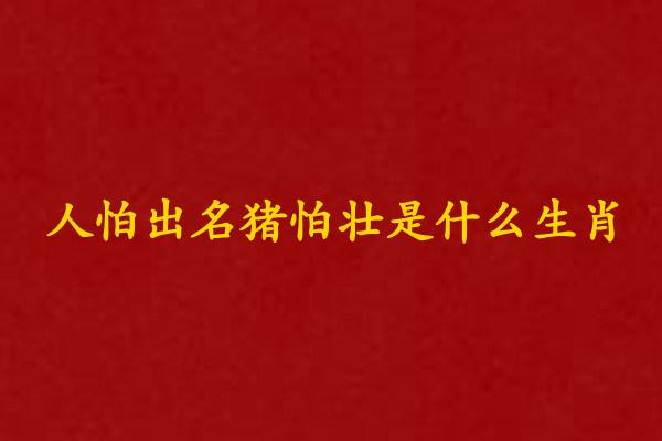 人怕出名豬怕壯是什麽生肖