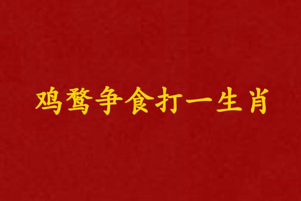 雞鶩爭食打一生肖