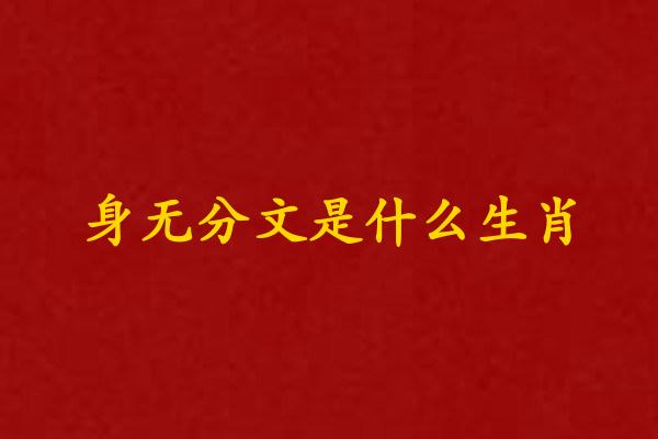 身無分文是什麽生肖