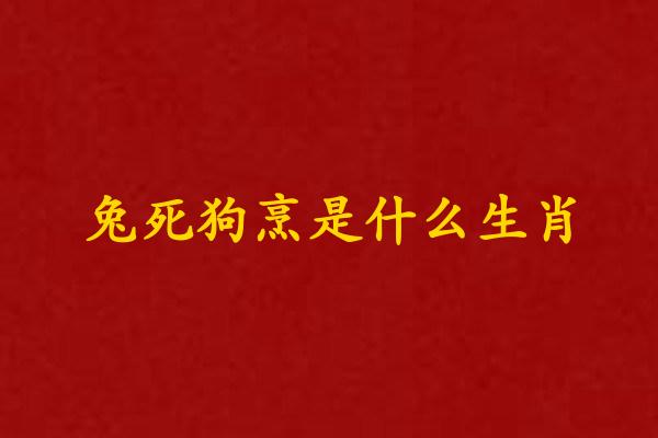 兔死狗烹是什麽生肖