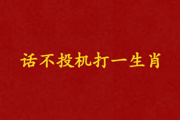 話不投機打一生肖