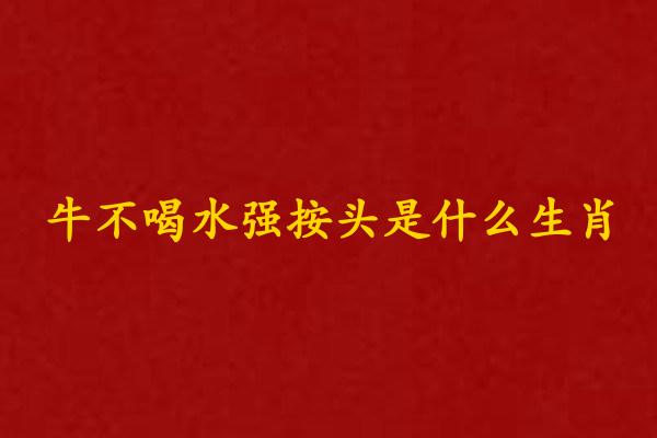 牛不喝水強按頭是什麽生肖