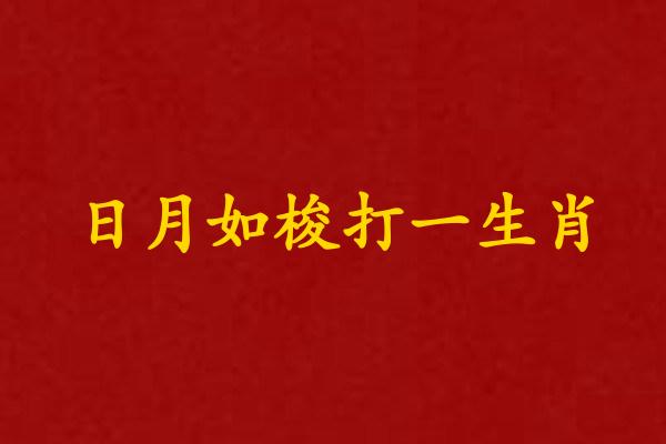 日月如梭打一生肖