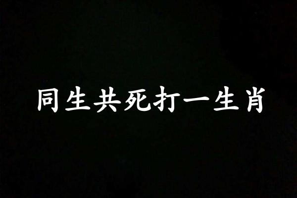 同生共死打一生肖