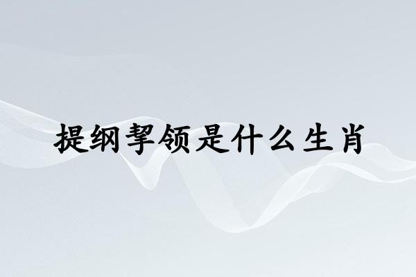 提纲挈领是什么生肖