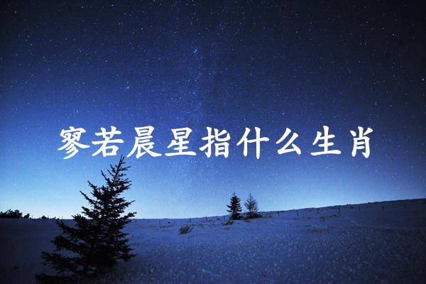 寥若晨星指什么生肖