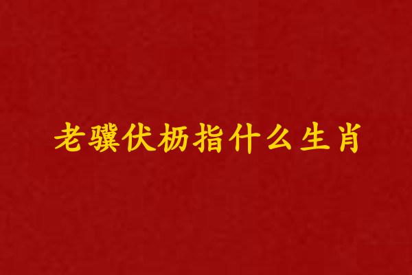 老骥伏枥指什么生肖