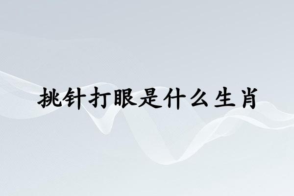 挑针打眼是什么生肖