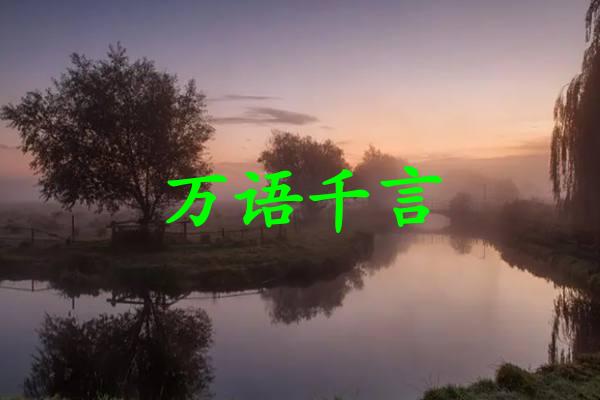 万语千言