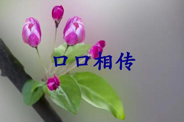 口口相传