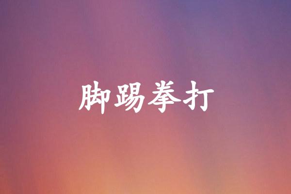 脚踢拳打