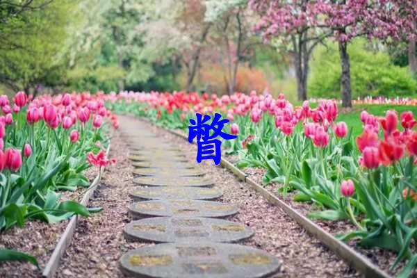 瞥