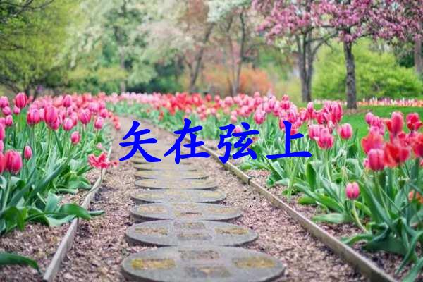 矢在弦上