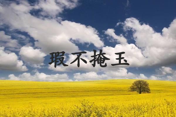 瑕不掩玉