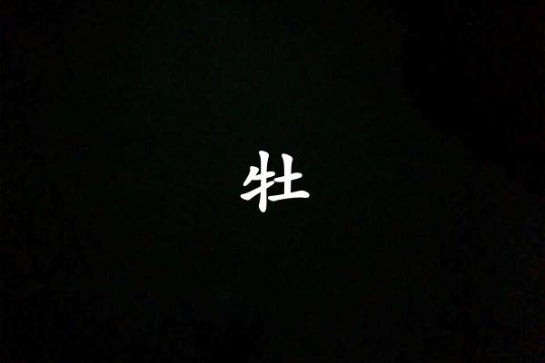牡