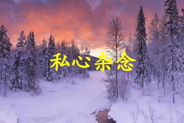 私心杂念