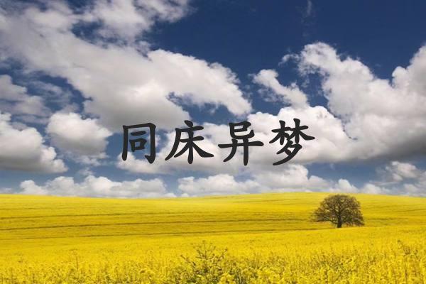 同床异梦