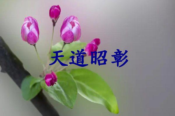 天道昭彰