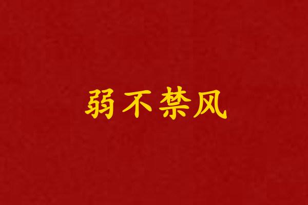 弱不禁风