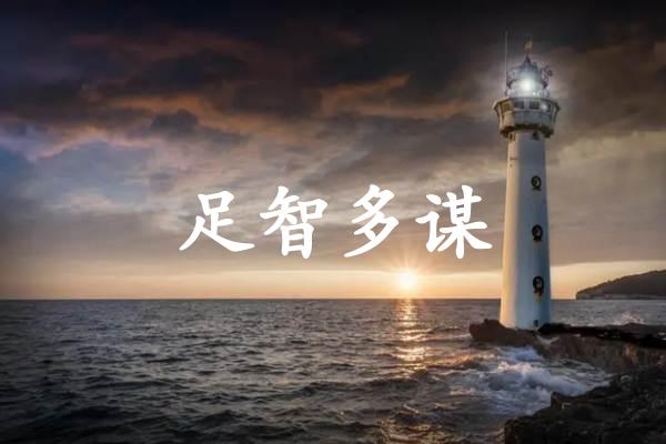 足智多谋