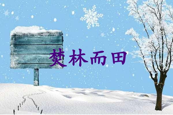 焚林而田