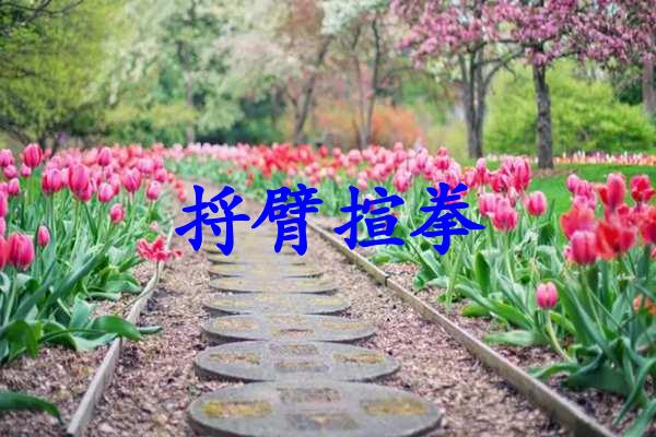 捋臂揎拳