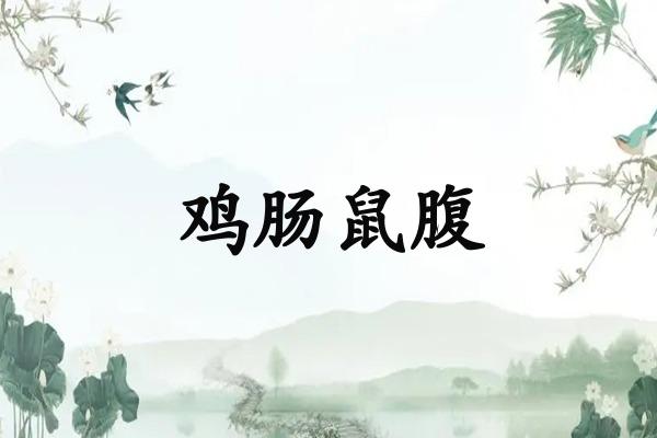 鸡肠鼠腹