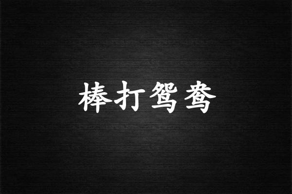 棒打鸳鸯