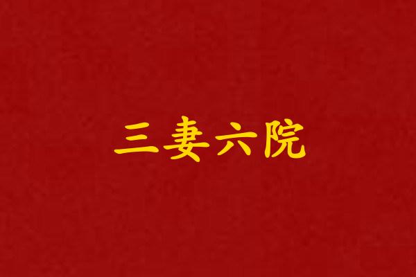 三妻六院