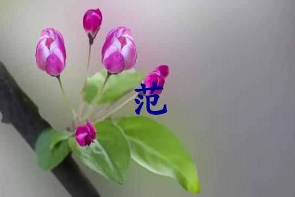 范