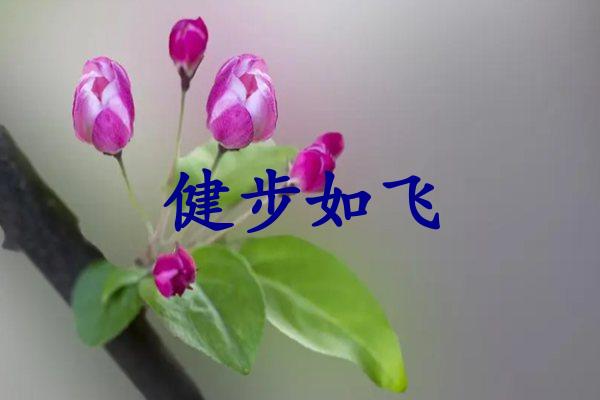 健步如飞