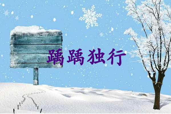 踽踽独行