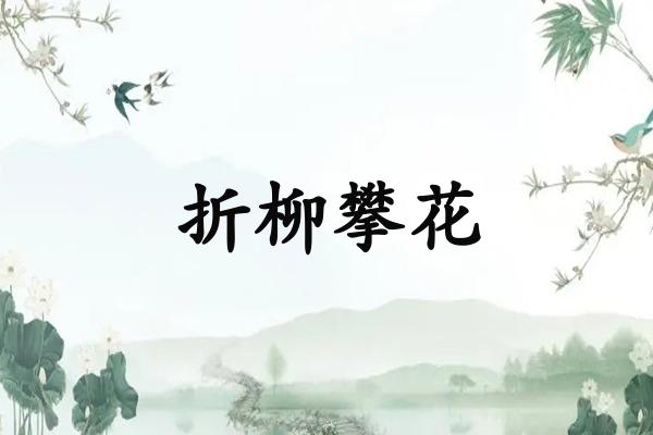 折柳攀花
