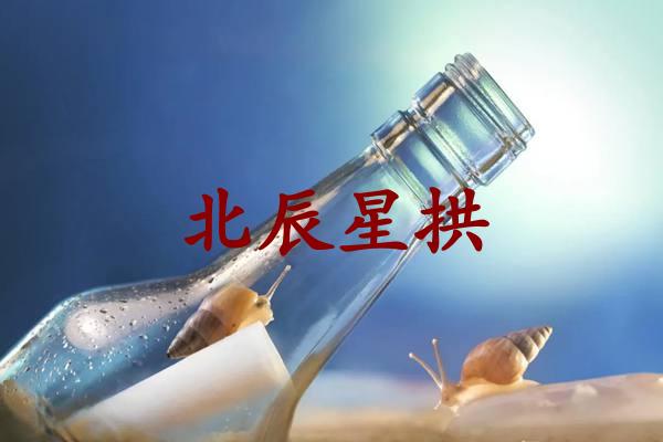 北辰星拱