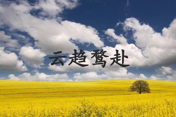 云趋鹜赴