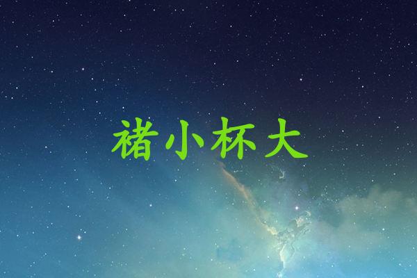 褚小杯大
