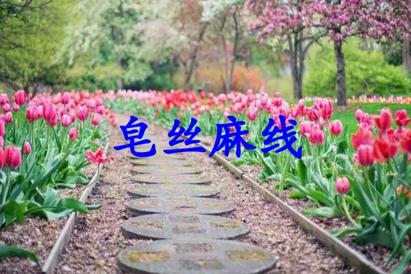 皂丝麻线