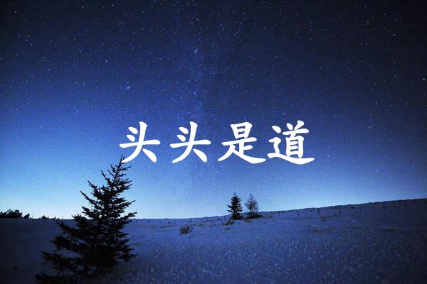 头头是道