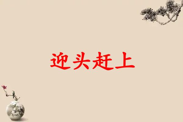 迎头赶上