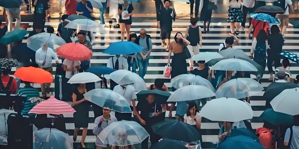 2026年2月4日新闻简报 