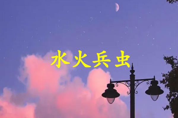水火兵虫