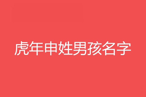 申姓男孩名字