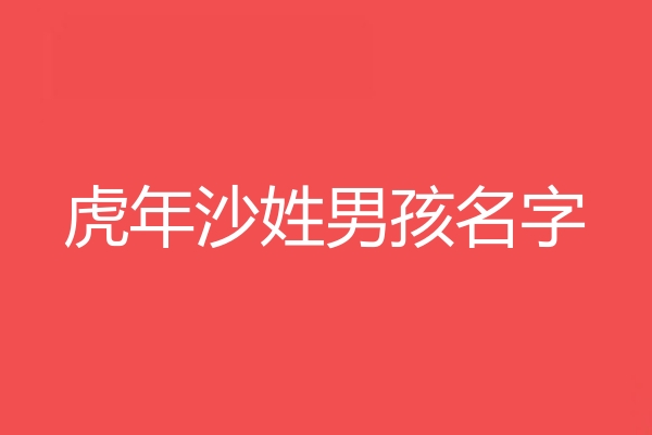 沙姓男孩名字