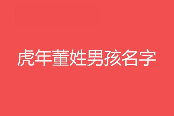 董姓男孩名字