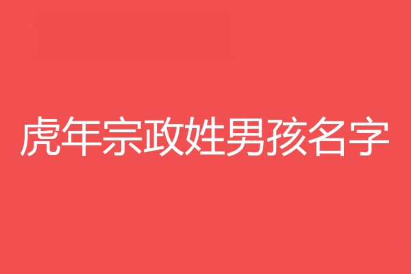 宗政姓男孩名字