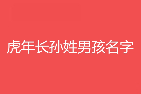 長孫姓男孩名字