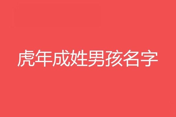 成姓男孩名字